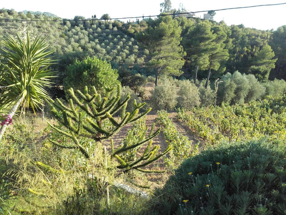 La Bastide De L'Oliveraie Le Castellet  Εξωτερικό φωτογραφία