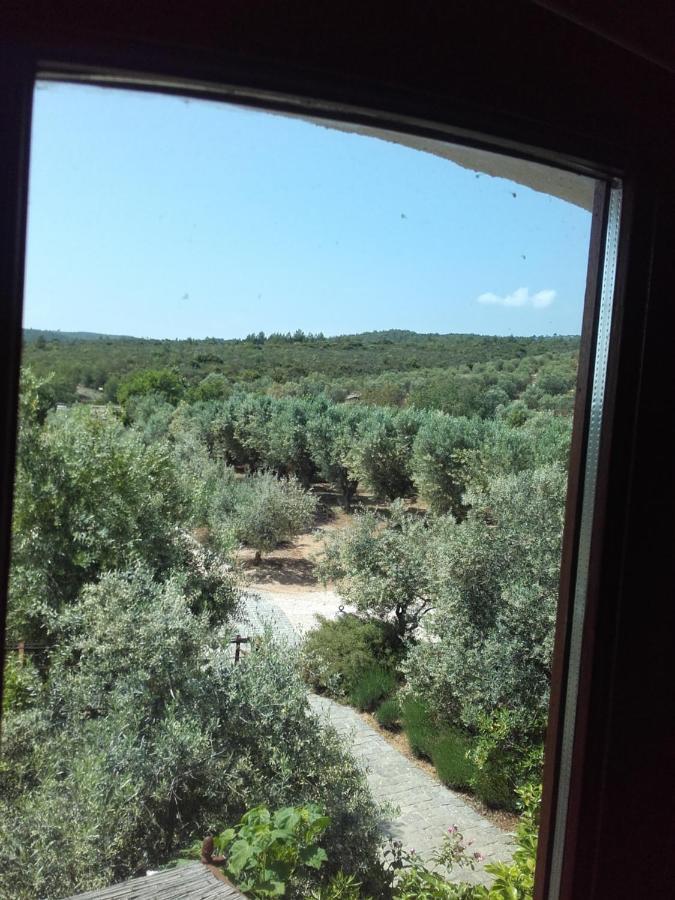 La Bastide De L'Oliveraie Le Castellet  Εξωτερικό φωτογραφία