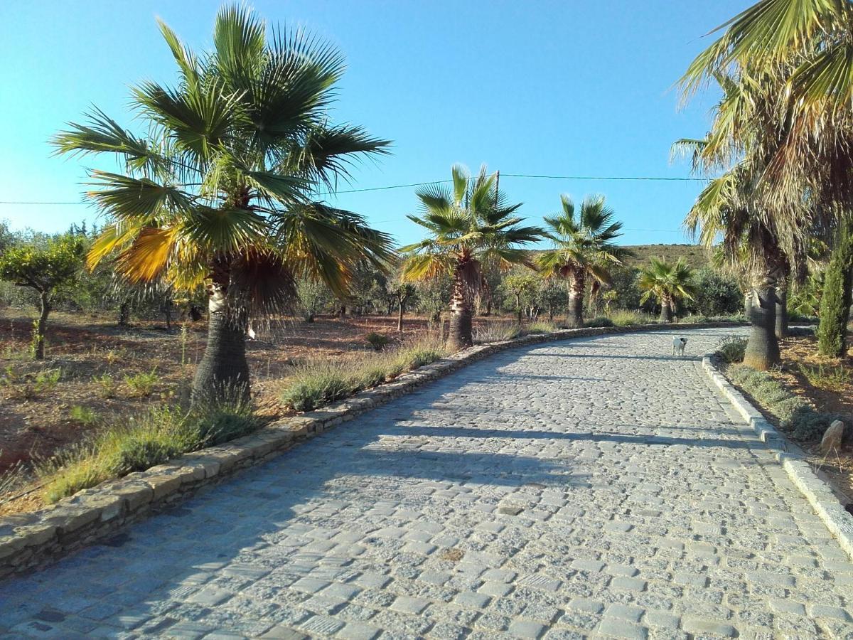 La Bastide De L'Oliveraie Le Castellet  Εξωτερικό φωτογραφία